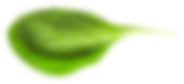 leaf_3 leaf