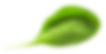 leaf_7